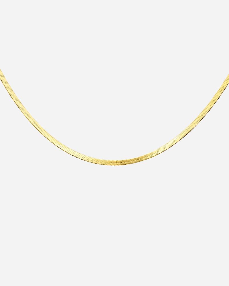 collar-snake-s-1